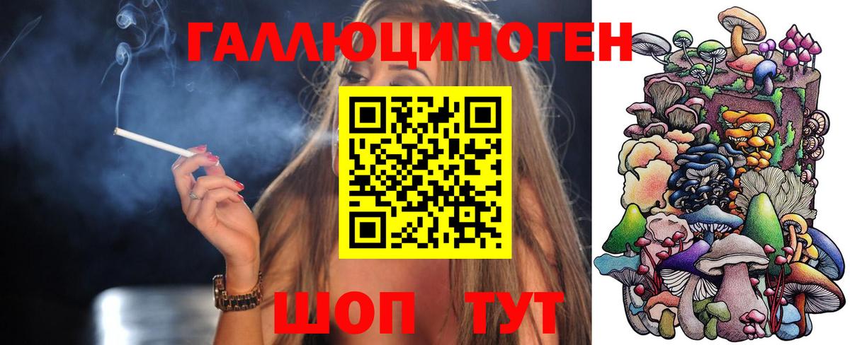 Псилоцибиновые грибы Cubensis Уварово
