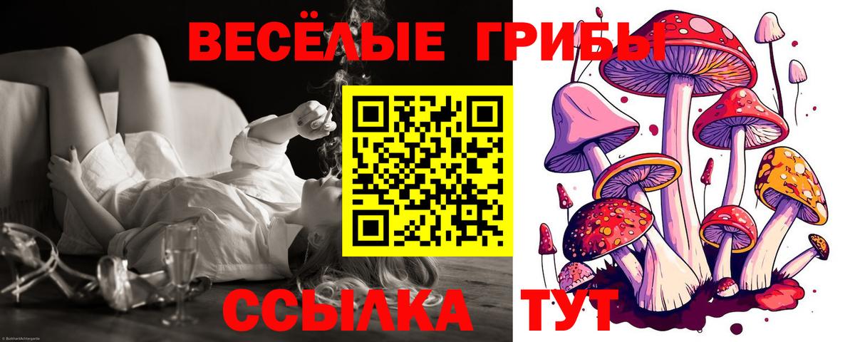 Уварово  Галлюциногенные грибы Psilocybe  Вход с VPN 